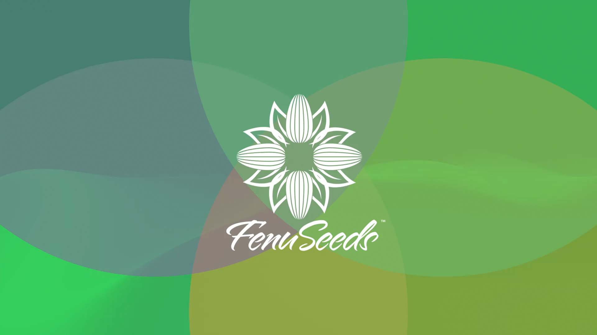FenuSeeds iPad Video Screenshot